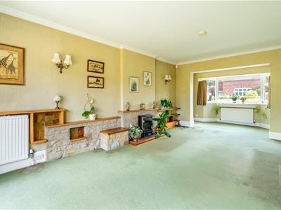 Picture 19